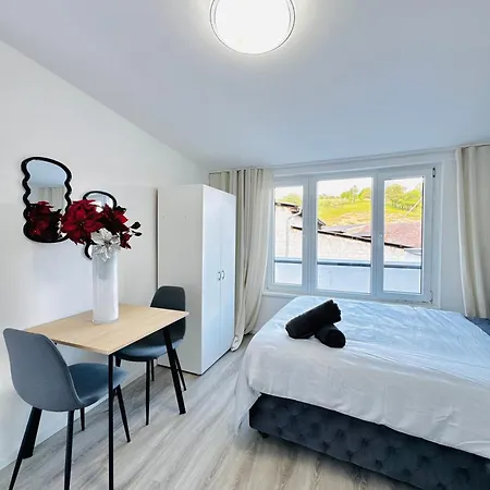 2br & Lr With Terrace, Close To Museum Gugging * Klosterneuburg